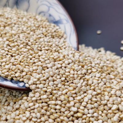 玻利维亚白藜麦 大颗粒白藜麦 整件散装25KG每件 量大价格更优