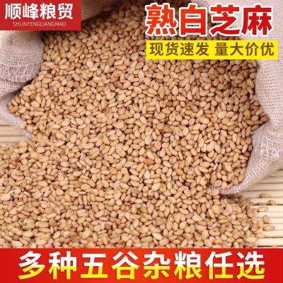 炒熟白芝麻现货批发 带皮熟白芝麻 散装25公斤食品级即食芝麻