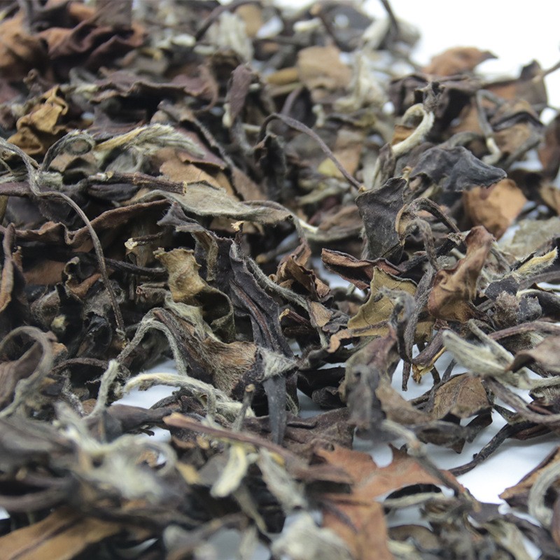 厂家直销十福缘2012年福鼎白茶白牡丹散茶高山日晒枣香500g图4