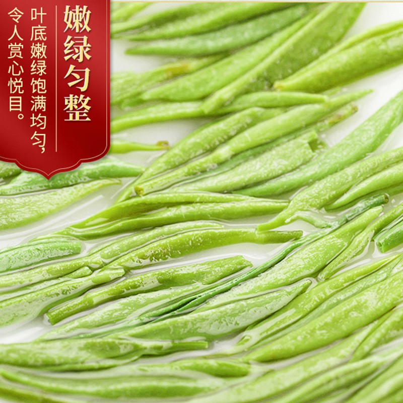2022高山日照新茶散装绿茶 河南明前雨前毛尖 春茶嫩芽尖茶叶批发图4