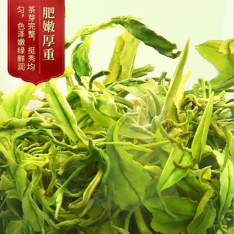 明前高山云雾绿茶 2022年早春新茶日照炒青绿茶 散装500g批发茶叶图4