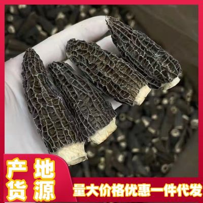 云南高原特产羊肚菌250克散装食用菇小六妹剪柄地摊干货大量 批发