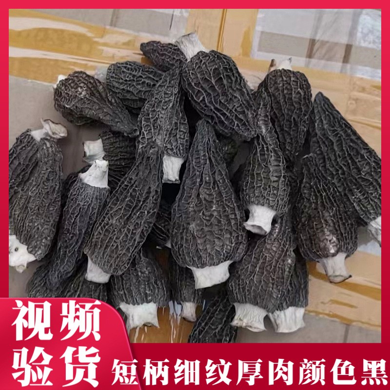 云南特产羊肚菌新鲜剪柄食用蘑菇干货包装大量批发头茬一公斤批发图1