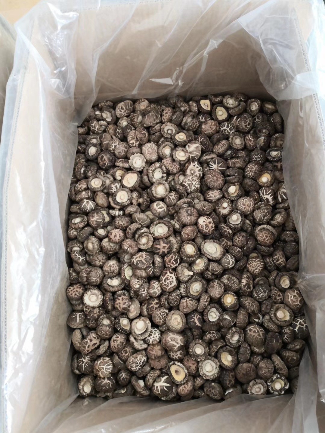 陕西秦岭花菇南北干货干香菇冬菇剪腿菌菇农产品产地批发一件代发图2