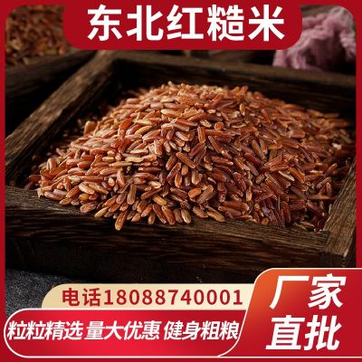 长粒红米五谷杂粮东北红糙米红粳米农家新红米厂家批发定制500g