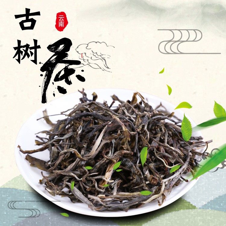 2021年春茶 老曼峨大树生茶散装 普洱生茶 普洱大树茶 茶农批发图1