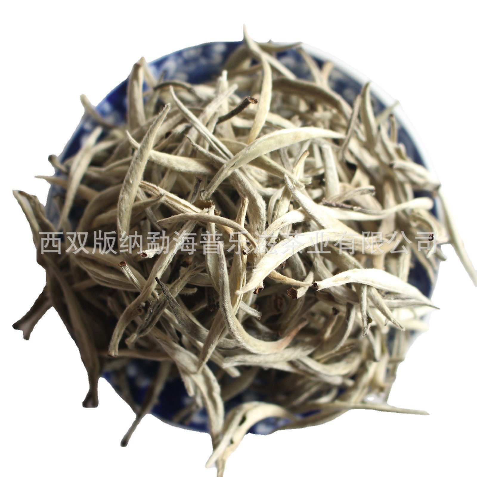 2022云南古树明前大白茶 白毫银针新茶春茶 景谷大白芽单芽月光白图4