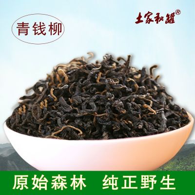 2022年新货 森林青钱柳嫩芽PET罐装茶张家界特产原产地
