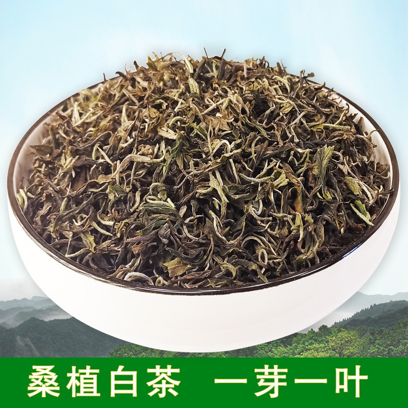 桑植白茶一芽一叶2021年产陈年白茶张家界特产散装茶叶批发500g