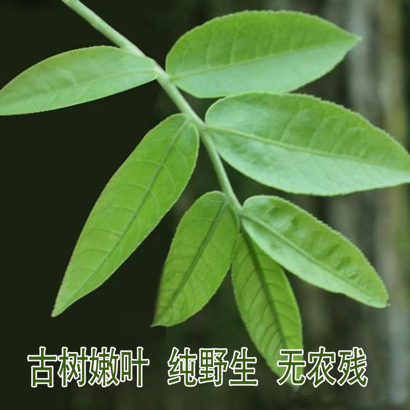 爱尚园青钱柳嫩芽茶 2022年新品厂家直销张家界原产地一手货源图2