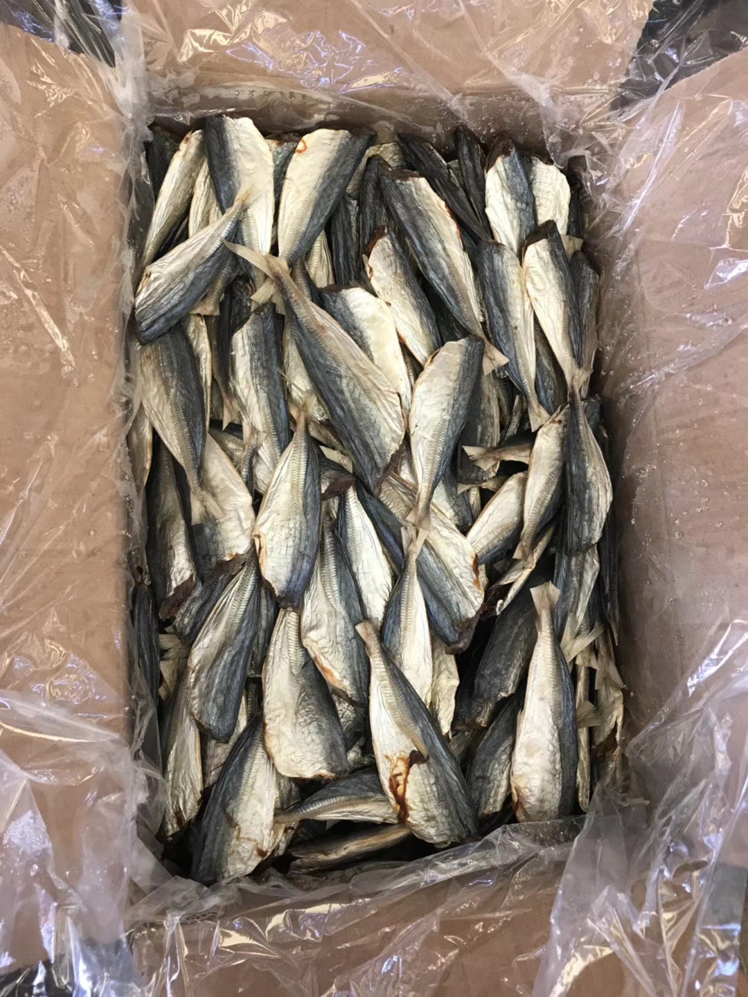 生池 池鱼 鱼干 海鲜干货 巴浪鱼 水产干货图1