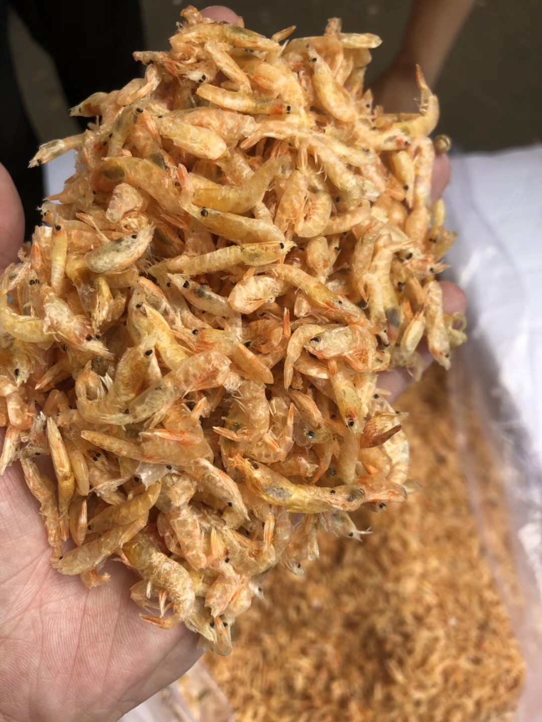 烘干虾米 麦杆虾 虾壳批发 海鲜干货批发 海味干货 量大从优