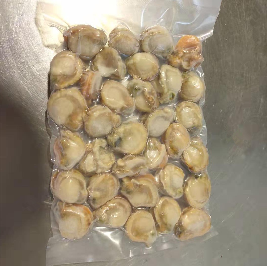 扇贝肉生鲜速冻直孔贝扇贝丁大连特产海湾扇贝肉散装袋装批发零售图3