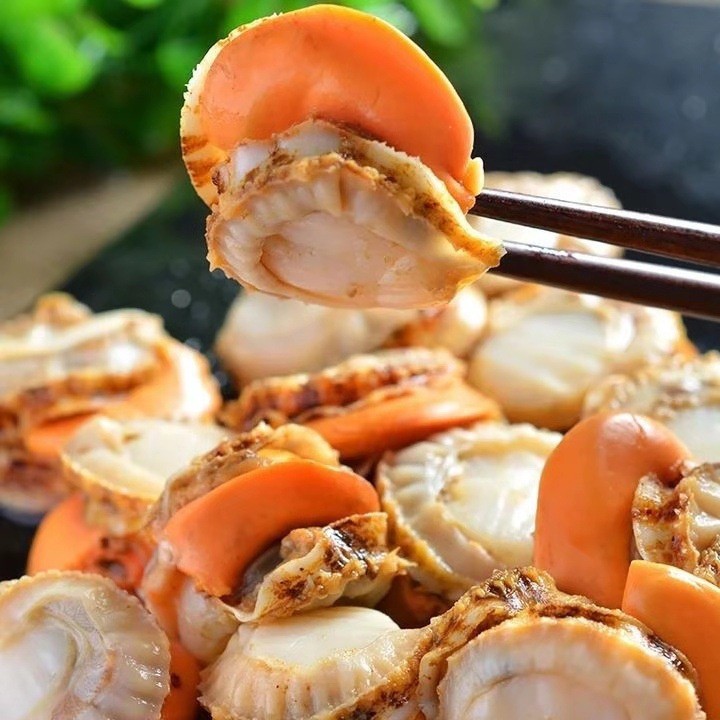 扇贝肉生鲜速冻直孔贝扇贝丁大连特产海湾扇贝肉散装袋装批发零售图4