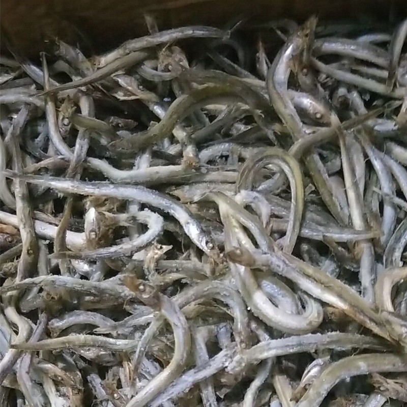 小银鱼小咸鱼干水产干货小银鱼海燕鱼干安康鱼1斤/袋图2