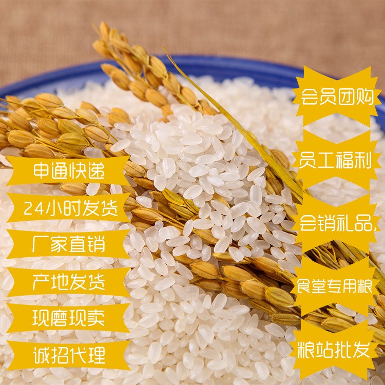 东北特产珍珠米10斤小町大米直批 新米5kg粳米福利农产品会销礼品图3