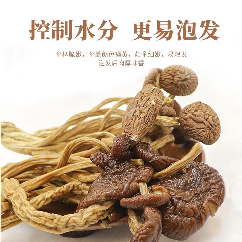 干乐香茶树菇未开伞干菇批发生产加工南北干货特产地直供种植OEM图5
