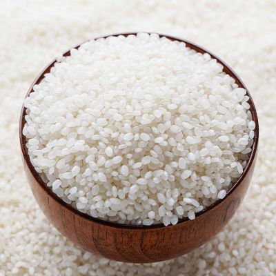 海安谷香软米 口感软糯气味清香米质饱满大米 厂家供应可批发