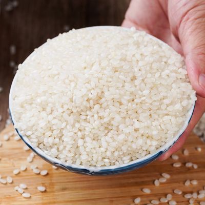 海安红苏软米 口感软糯晶莹透剔软香软米 厂家供应当季大米
