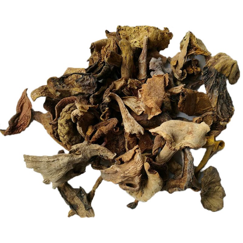 云南特产自然生长菌牛肝菌汤料火锅底料熬汤菌包批发黄牛肝菌干货图5
