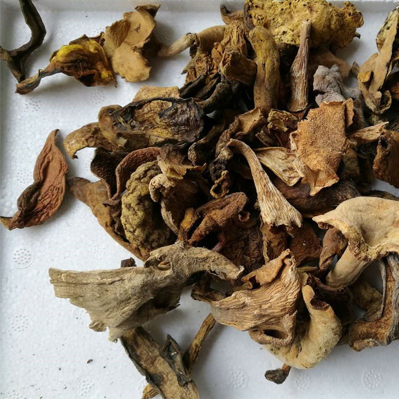 云南特产自然生长菌牛肝菌汤料火锅底料熬汤菌包批发黄牛肝菌干货图2