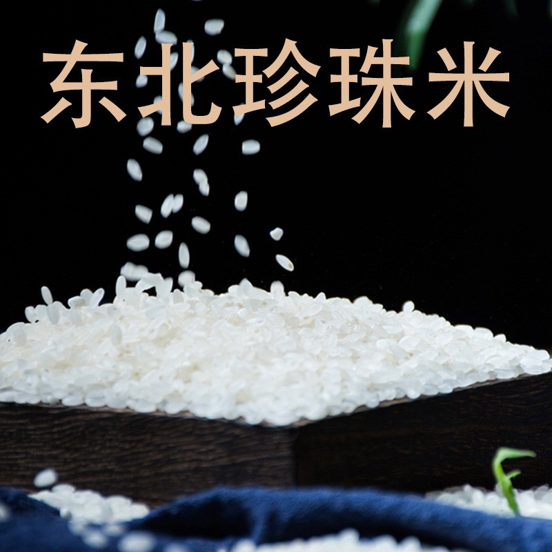 东北大米5kg珍珠米圆粒米粳米厂家批发活动礼品10斤特产代发包邮
