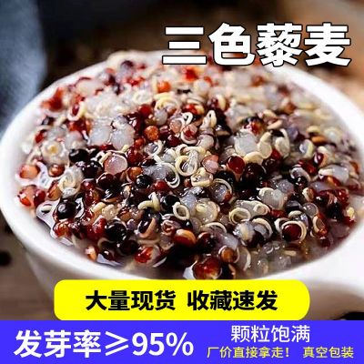 藜麦米三色藜麦500g混合藜麦米代餐饱腹红白黑粗粮黎麦辅食