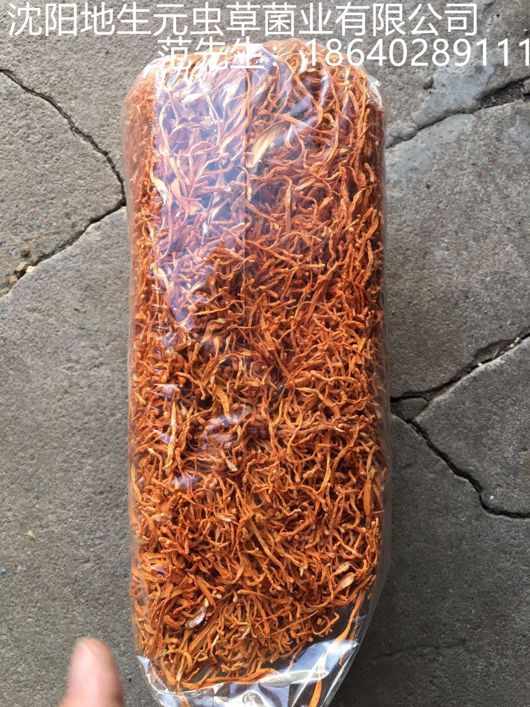 一件12KG虫草花蛹虫草新会北虫草排草装产地批发图3