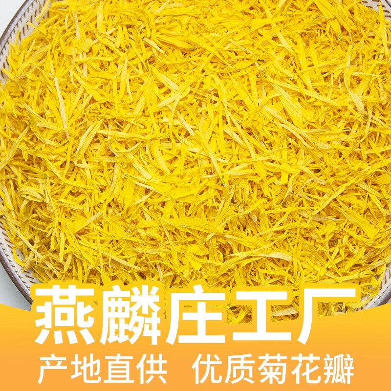 菊花瓣散装新花金丝皇菊花瓣徽州黄菊花瓣批发婺源皇菊花 量大从优图1