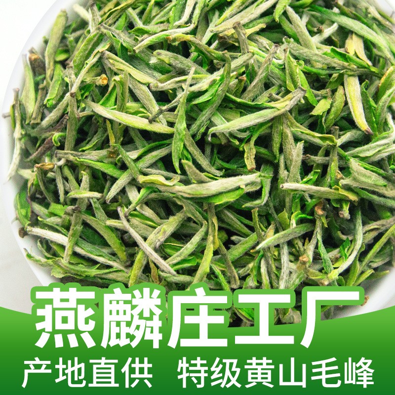 黄山毛峰绿茶茶叶散装批发产地直供浓香特级新茶雀舌可罐装 礼盒