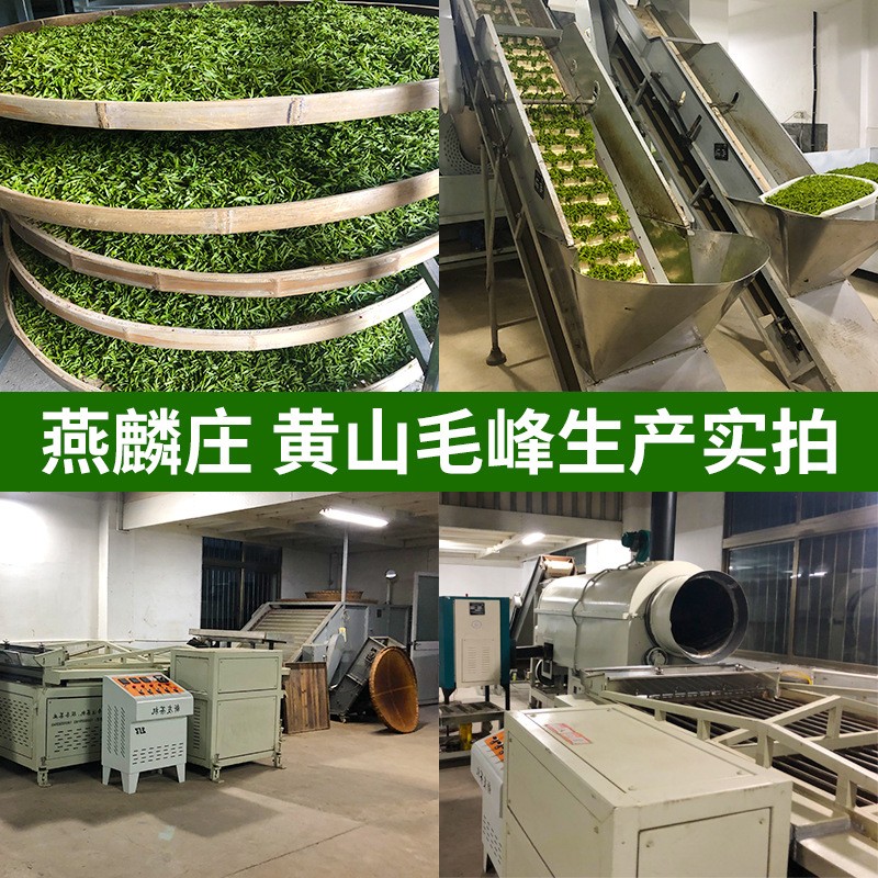 黄山毛峰绿茶茶叶散装批发产地直供浓香特级新茶雀舌可罐装 礼盒图3