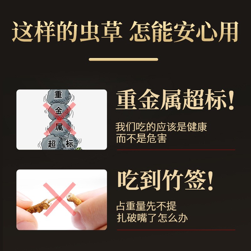 冬虫夏草 冻干虫草 足干饱满金黄 无瘪草产地货源 招代理一件代发图1