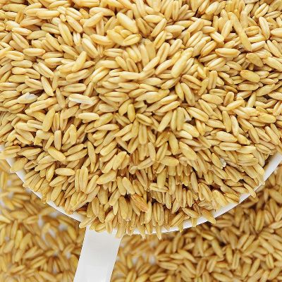 厂家低温烘焙熟燕麦米 五谷杂粮磨粉原料 现磨豆浆 oem贴牌