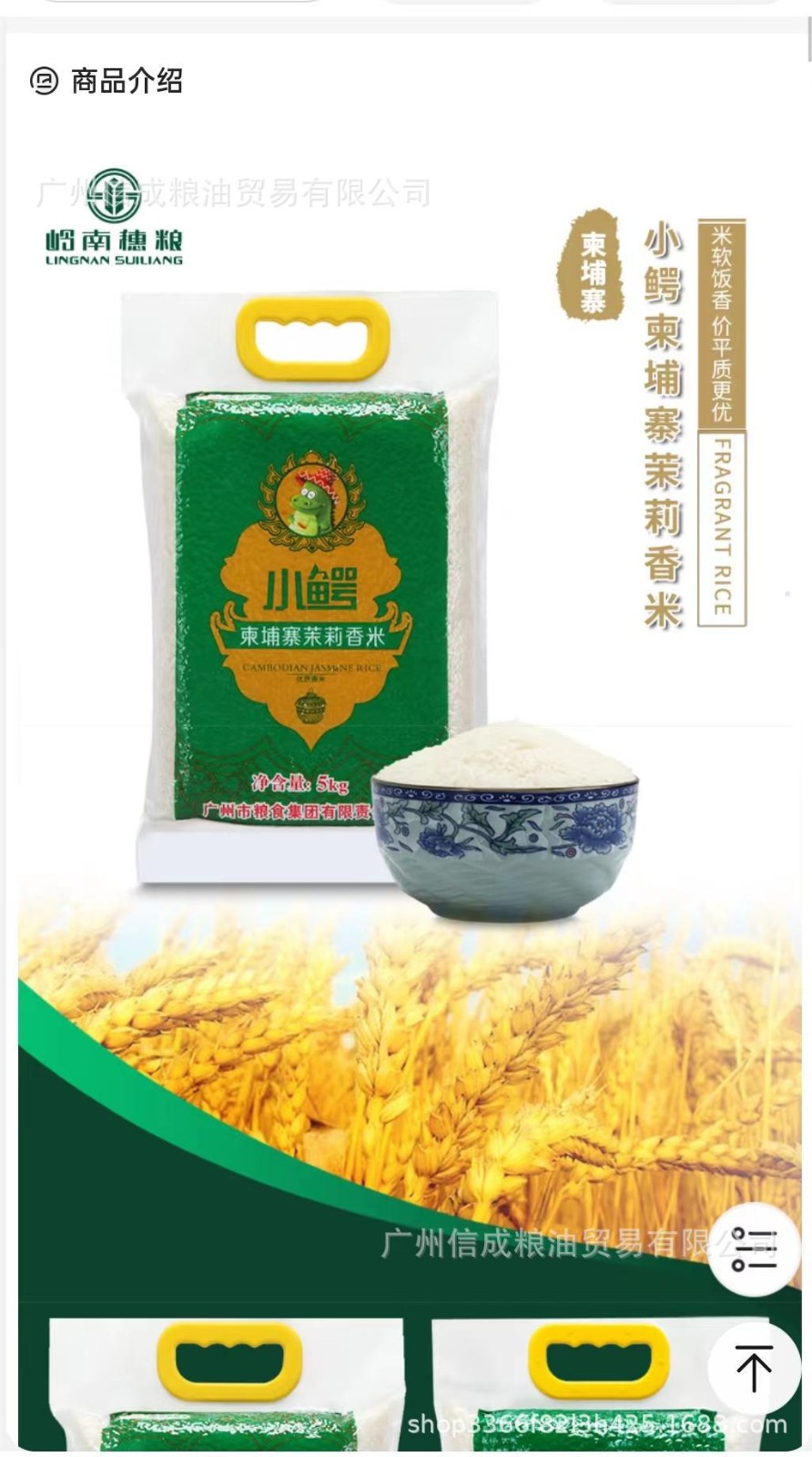 岭南穗粮 小鳄柬埔寨茉莉香米10斤真空包装茉莉香团购批发图4