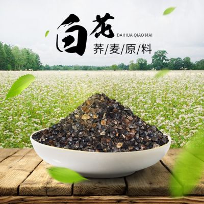 产 中粒荞麦 小粒荞麦 厂家直销批发