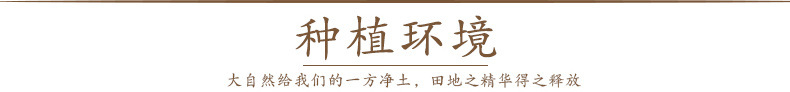 荞-麦-内页_08