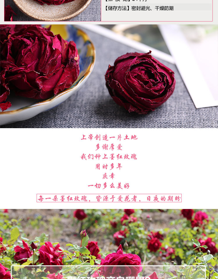墨红玫瑰_02