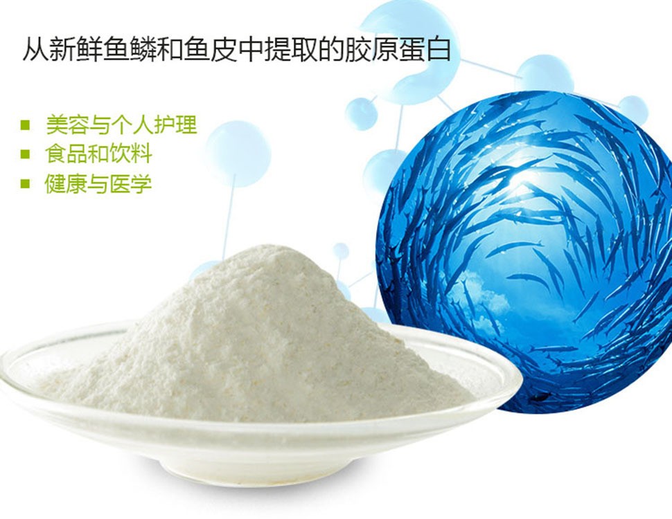 口服级胶原蛋白粉原料粉末 小分子易吸收 鳕鱼胶原蛋白图4