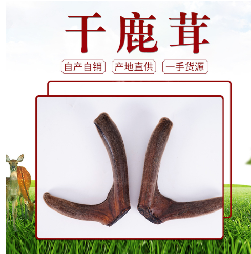 整支干鹿茸吉林鹿乡自家农场批发销售 现买现切 量大优惠欢迎咨询图1