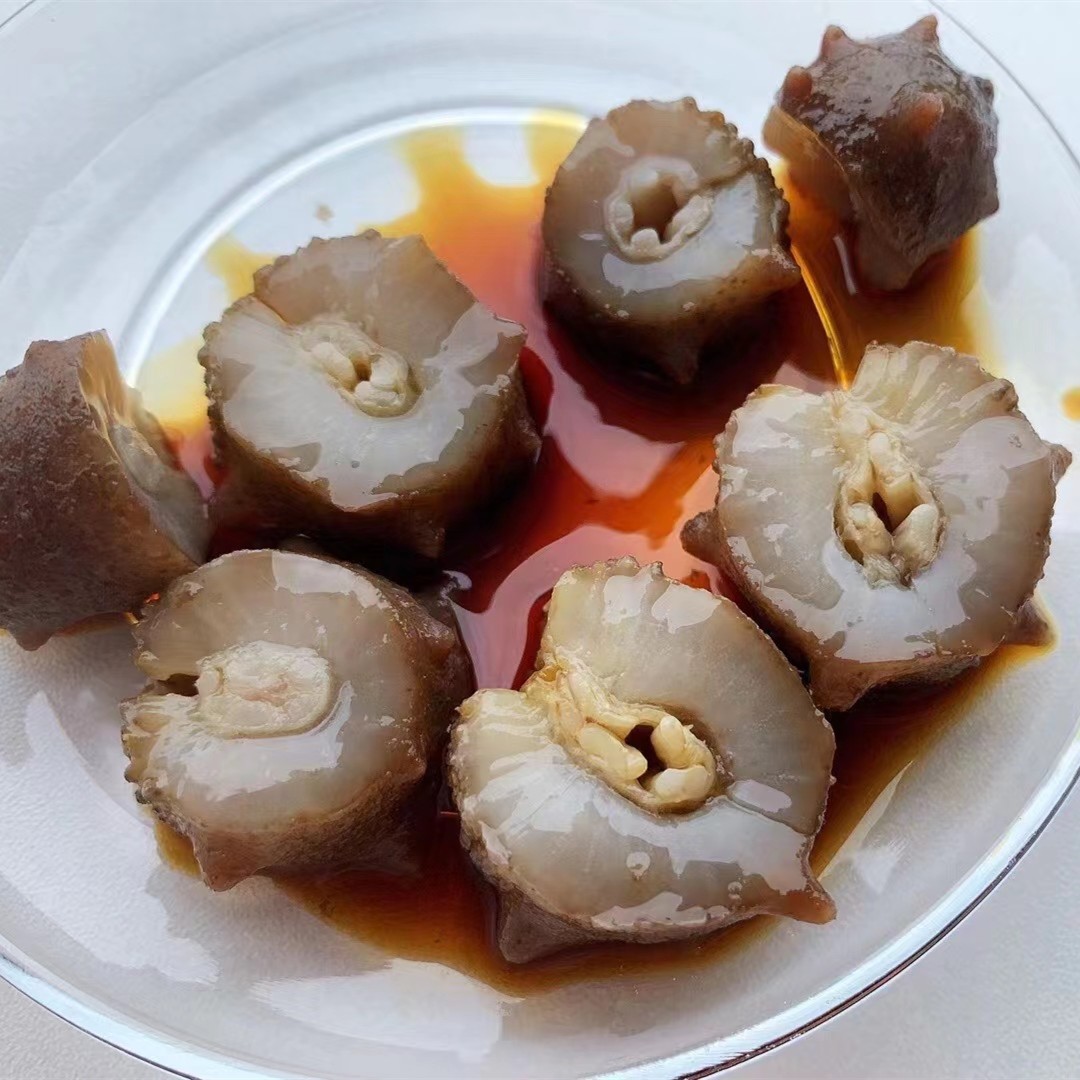 大连辽参 酒店食材海鲜干货淡干海参干货 一德路批发 规格齐全图4