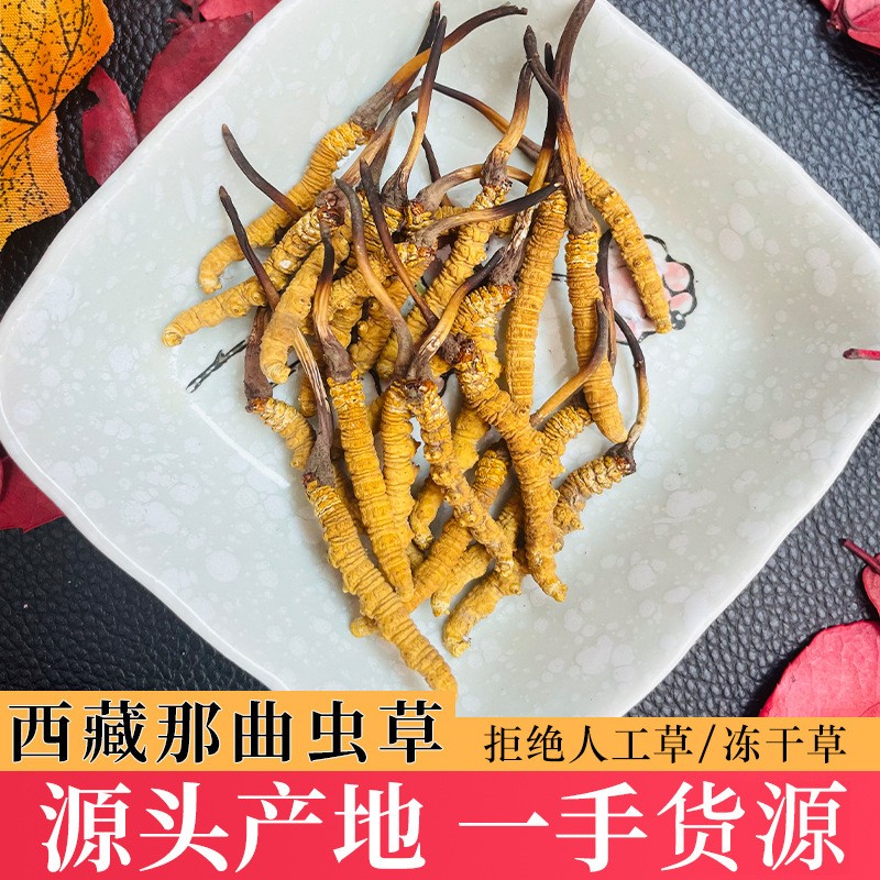 青海玉树草原生冬虫夏草批发那曲虫草礼盒装1根西藏产地一件代发图1