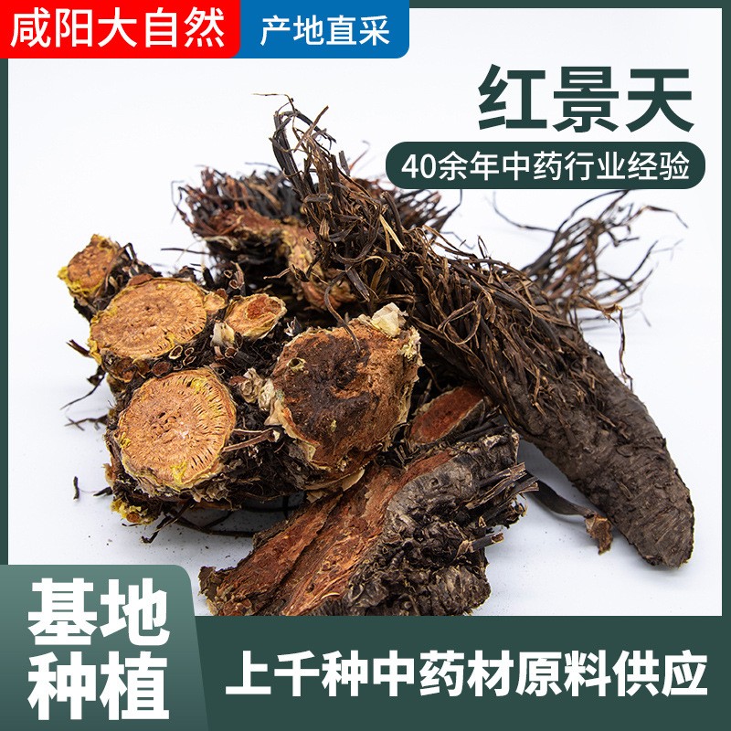 玫瑰红景天批发 红景天根 中药材农产品原料 多种规格 可磨粉