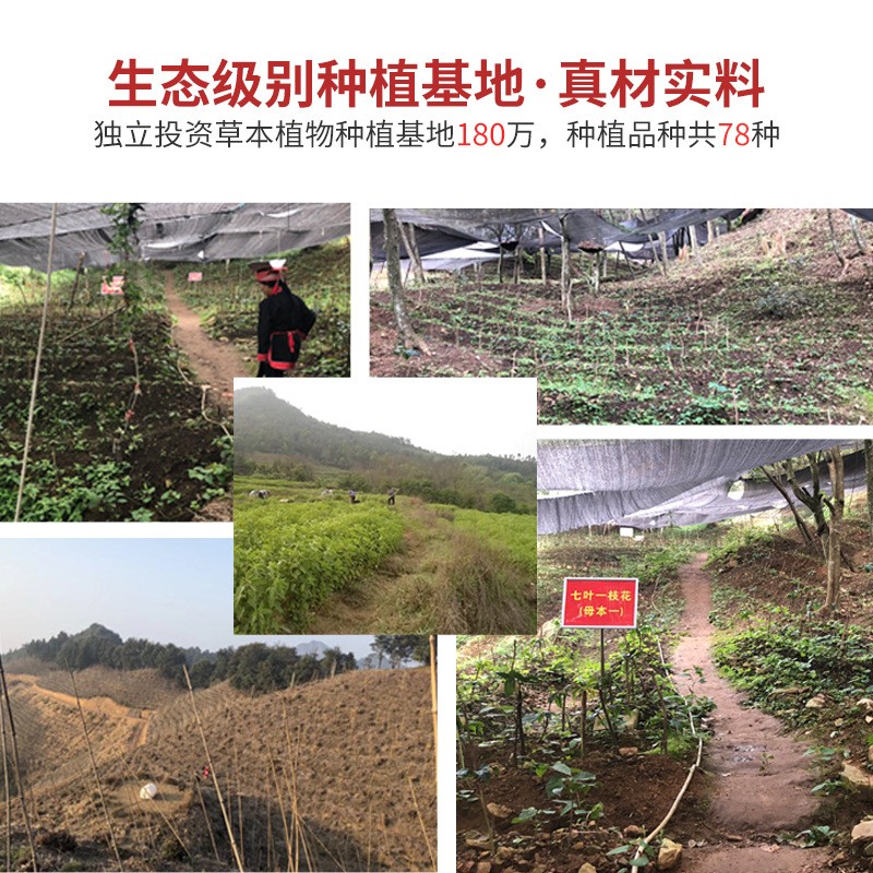 热销10万级净化车间小儿泡浴工 厂调 理消化不良积食儿童瑶浴药包图2