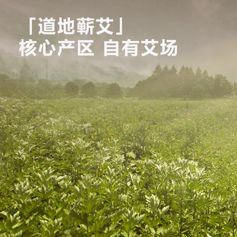 湖北李时珍艾灸贴厂家发热批发艾灸贴自发热图5