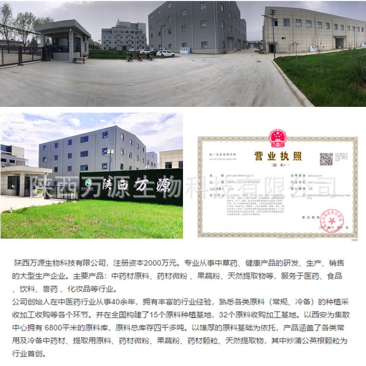 锡兰肉桂皮 香薰 锡兰肉桂碎 ceylon cinnamon 锡兰肉桂粉调料图4