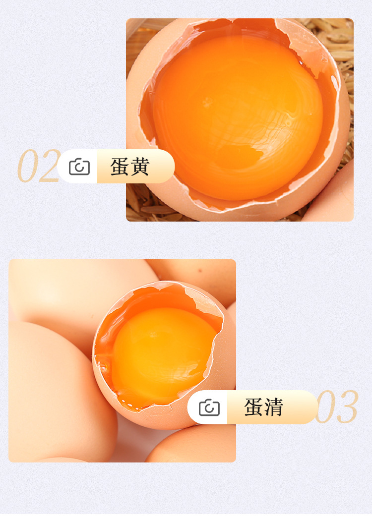 鸡蛋_09