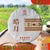 白茶普洱茶月光白 2021年老树生晒白茶饼300g 云南茶叶厂家批发图5