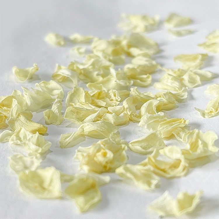 周顺来 横县茉莉花 花干散装 花草茶 茉莉花瓣 厂家 批发图2