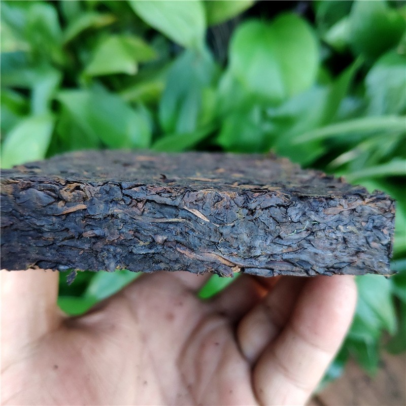 厂家批发雨墨苍情250克云南普洱茶老熟茶8年熟茶砖勐海陈香老茶叶图2