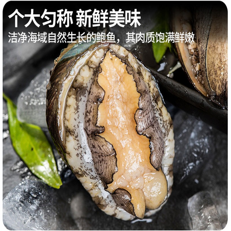 源头厂家现货水产海鲜批发酒店食材供应6/10/8头鲜活速冻鲍鱼即食图4